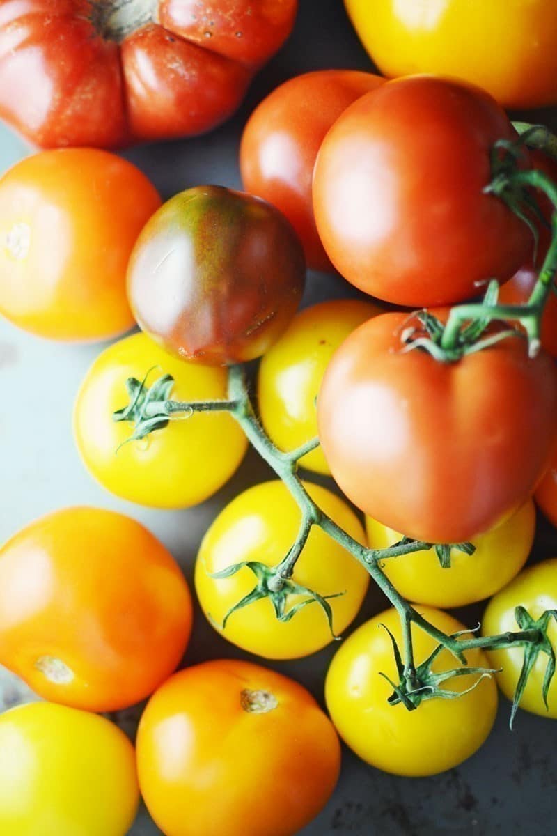 #Tomatoes - @LittleFiggyFood