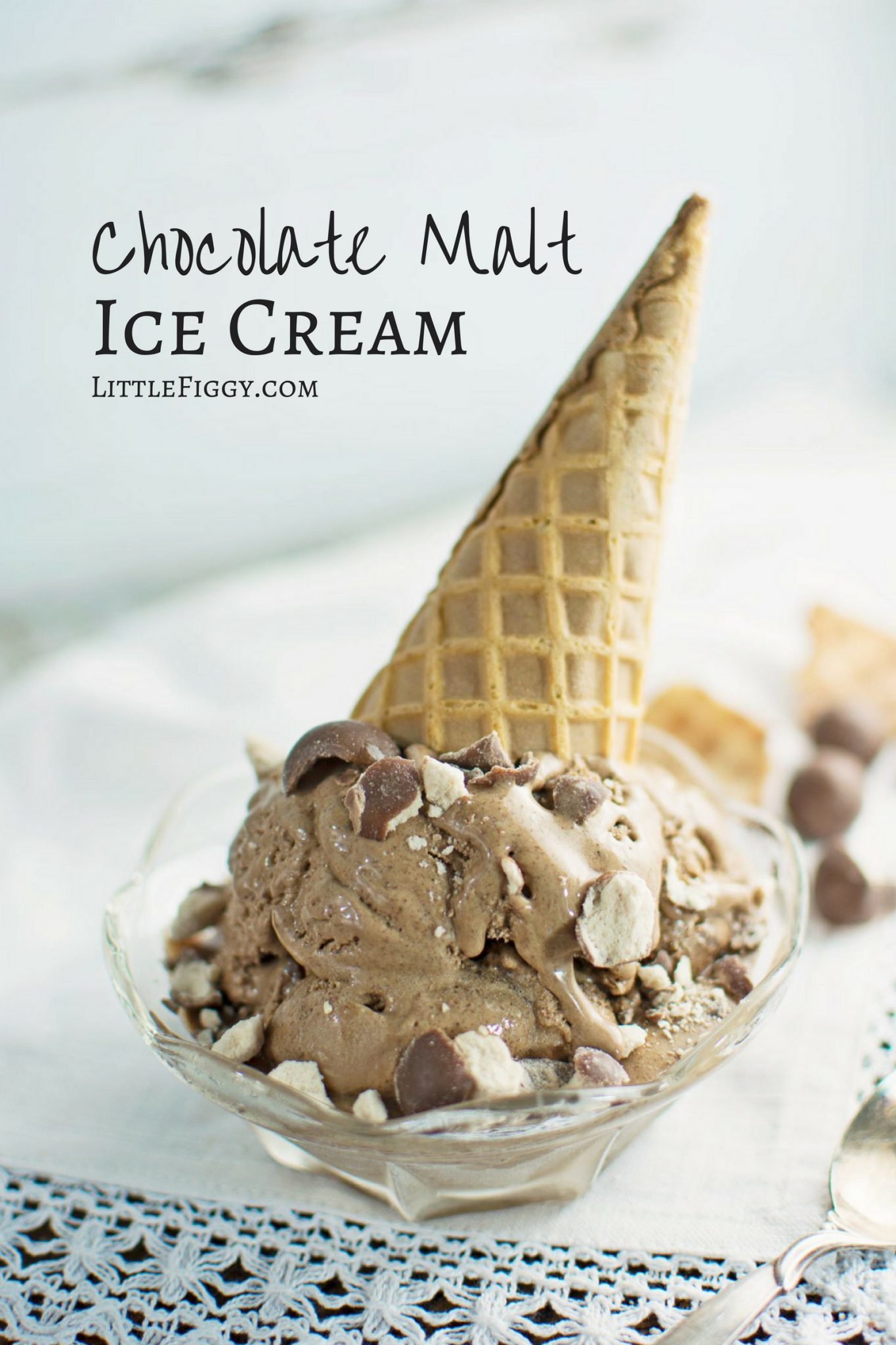 Make this creamy chocolate malt ice cream recipe and enjoy with friends and family.