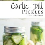 These easy to make Garlic Dill Pickles are perfect served on their own, as a side or straight on top of your favorite hamburger! Get the recipe at LittleFiggyFood.