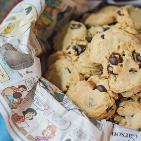 Make up a batch of these Peanut Butter Chocolate Chip Cookies to share ... or not! Recipe @LittleFiggyFood