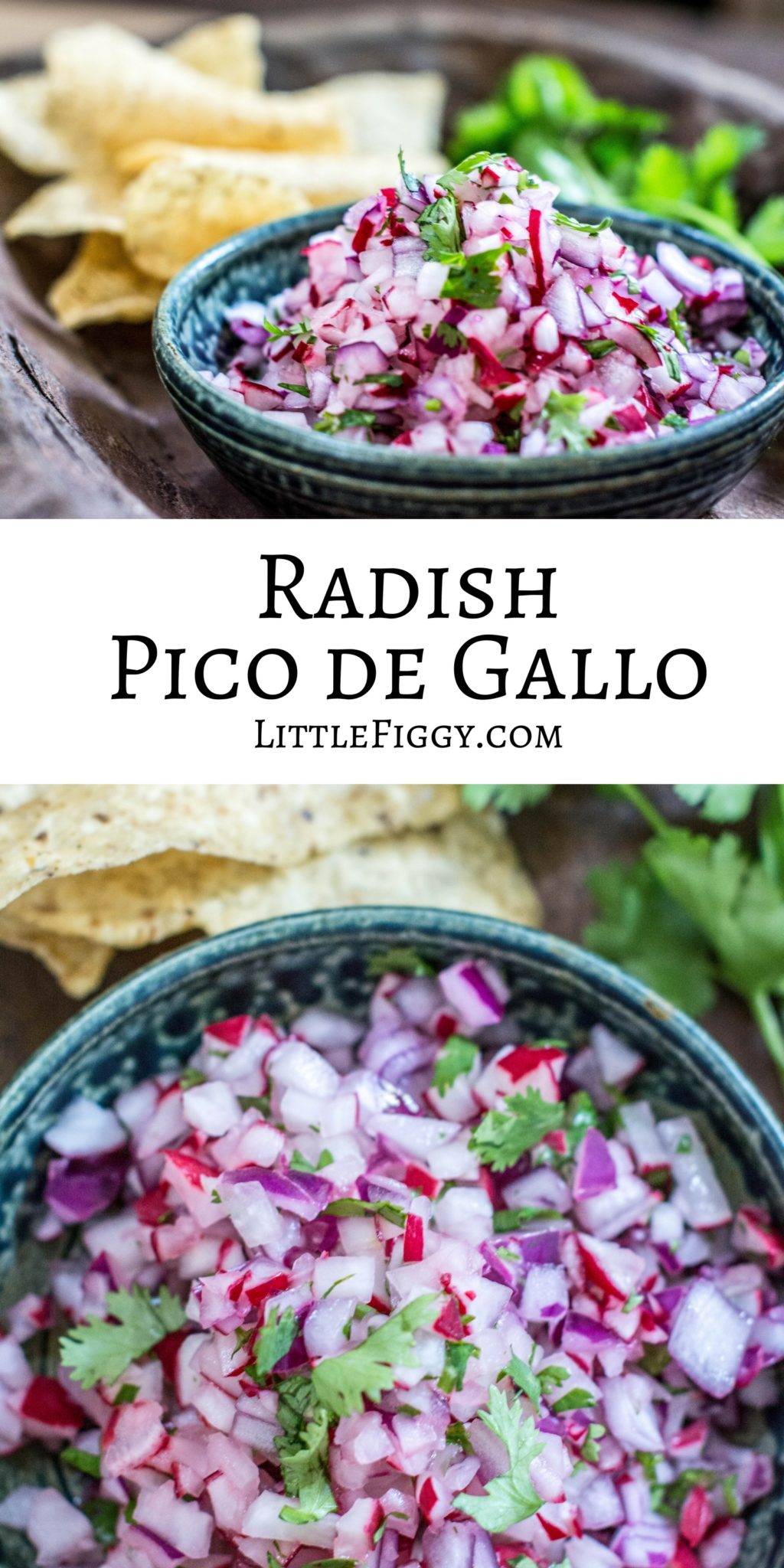 A super easy and tasty salsa, perfect for your next taco Tuesday, Nachos, or with a bag of Tortillas, try this Radish Pico de Gallo! Get the salsa recipe from Little Figgy Food