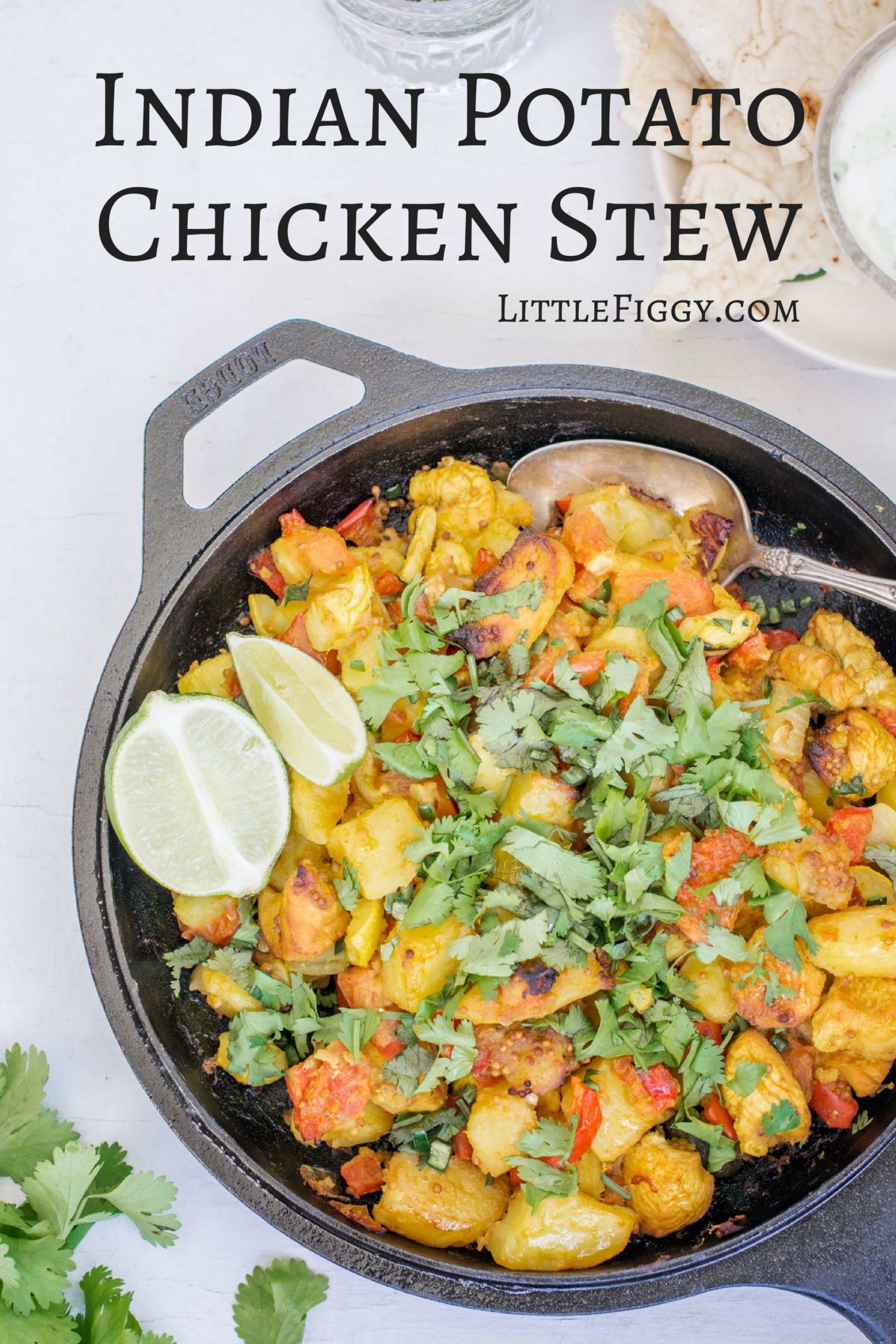 Indian Potato Chicken Stew Recipe