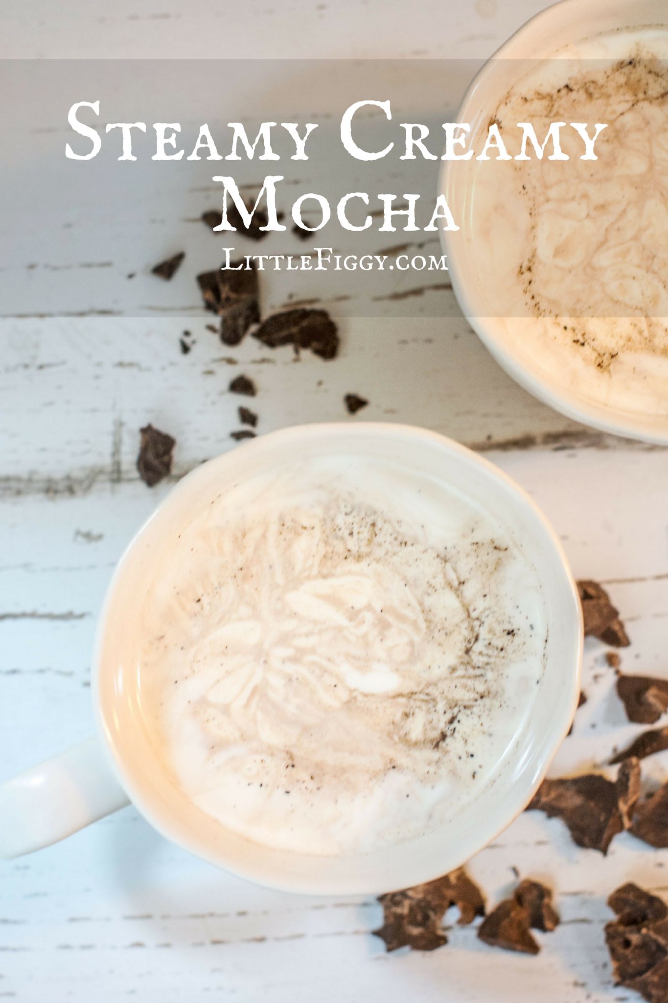 Steamy Creamy Mocha to keep you cozy warm during those cold days. Get the recipe at Little Figgy Food!