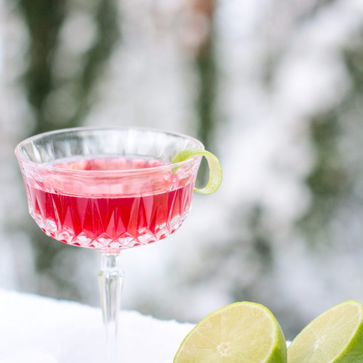 Pomegranate Daisy Cocktail, a great drink for celebrating the holidays!