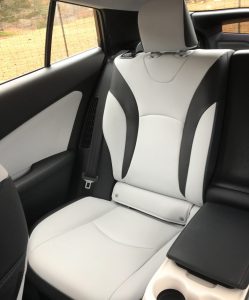 Backseat-of-the-Prius
