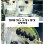 Blueberry Vodka Buck Cocktail