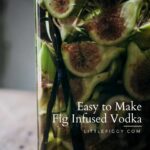 Fruity Infused Vodka