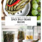 The Best Spicy DIlly Beans Recipe