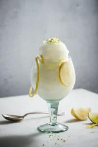 Easy to Make and Delicious Gin and Tonic Sorbet