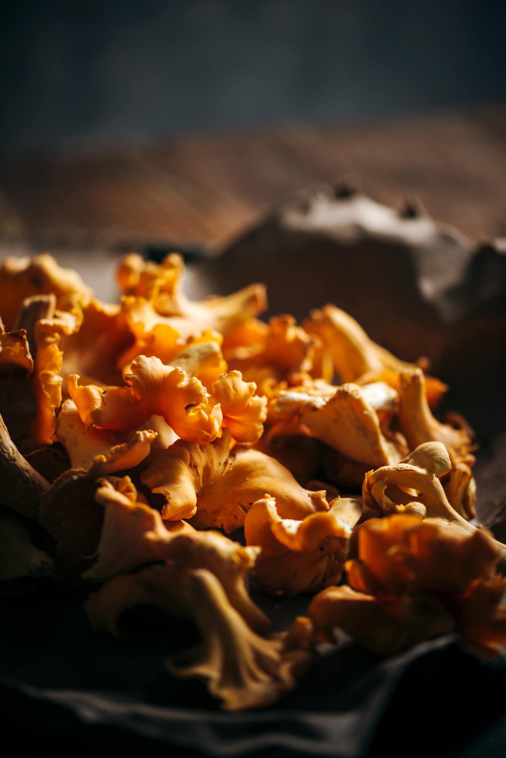 Wild food - Chanterelles Mushrooms