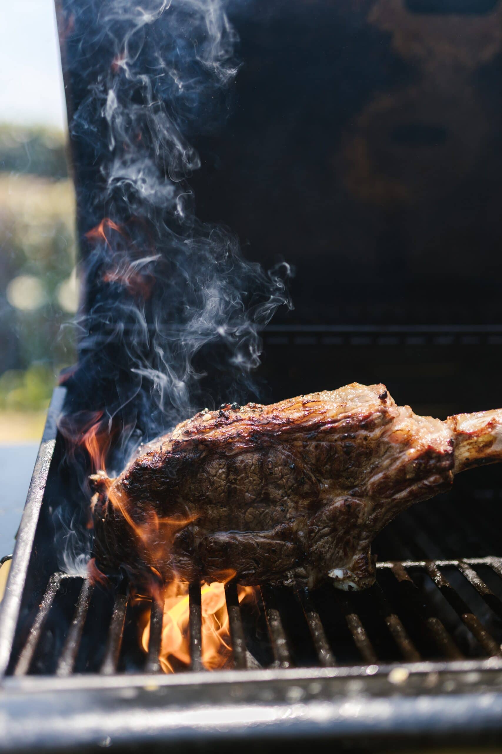 Steak on a grill  -  a great example of the maillard reaction and how it works