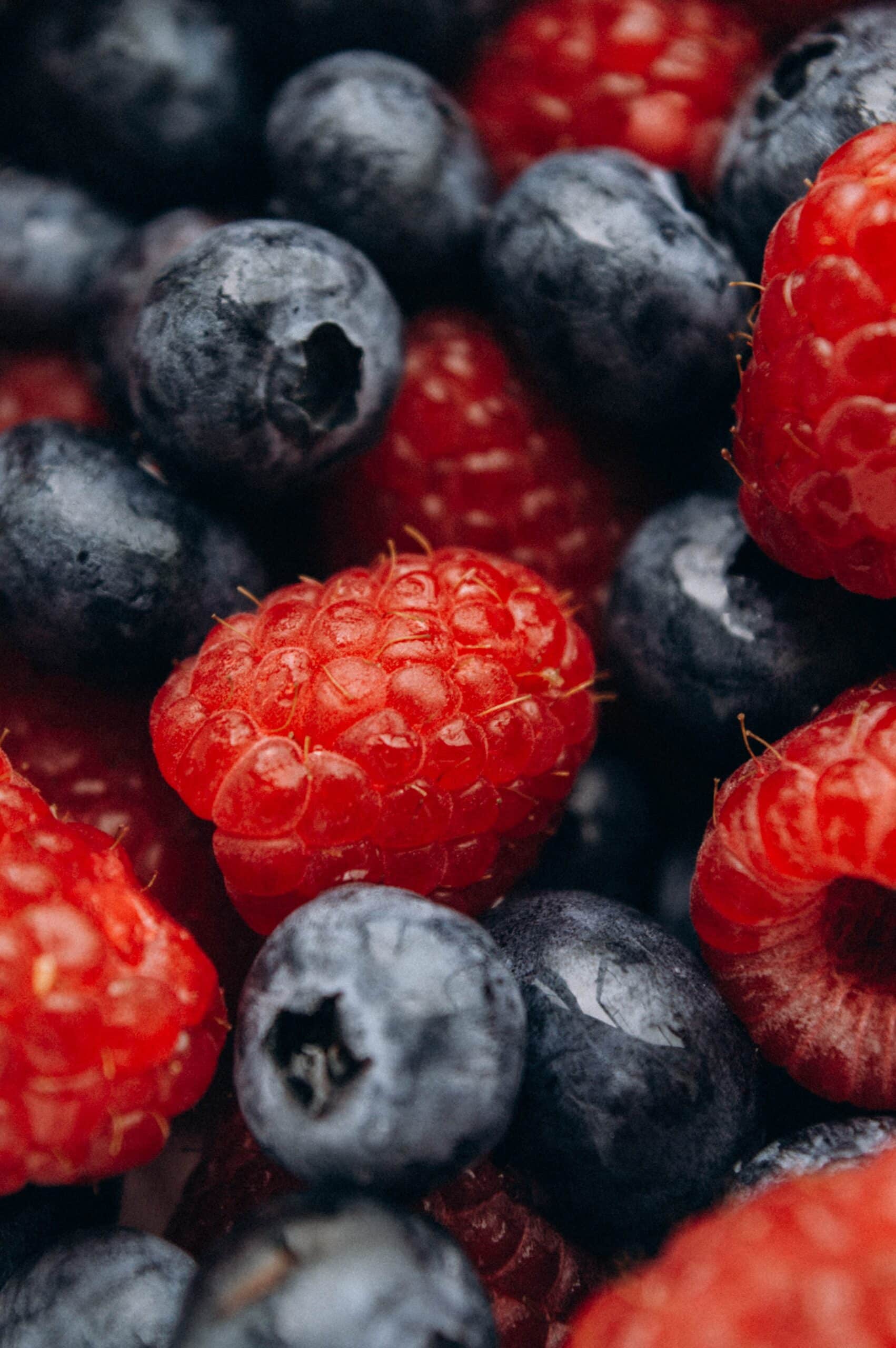 Raspberries and Blueberries - Benefits of Freeze Drying Your Food 